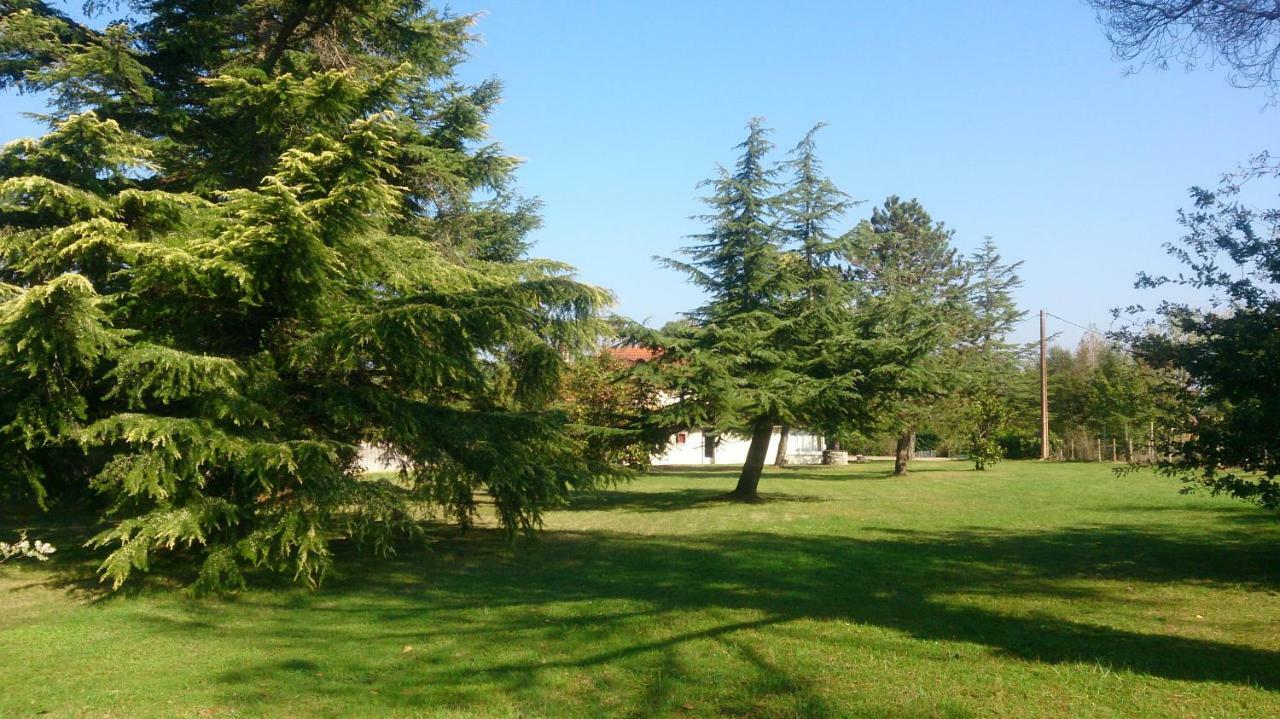 Le Pontet Bed & Breakfast Miramont-de-Guyenne Exterior foto